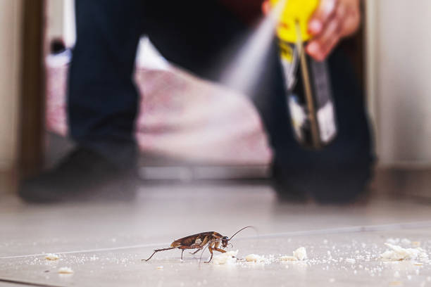  Oak Hill, TN Pest Control Pros